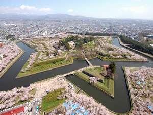 五稜郭公園〔春〕～徒歩７分