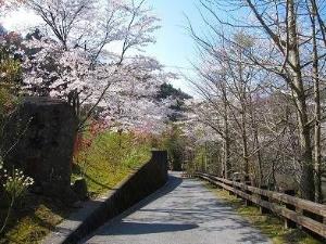 春の黒川荘