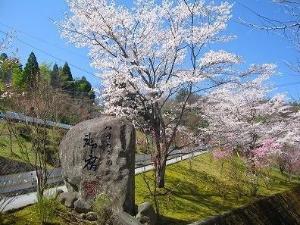 春の黒川荘