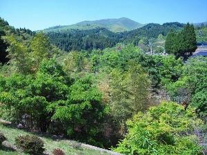 ＜夏＞黒川荘全景