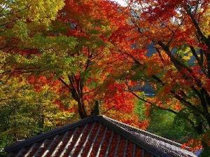 ＜秋＞黒川荘