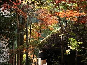 秋の別館温りの宿