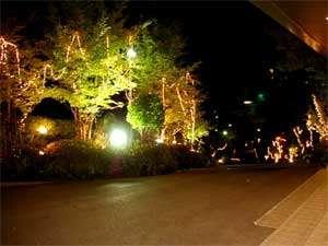 夜はお庭のイルミネーションが幻想的な雰囲気を醸し出します。