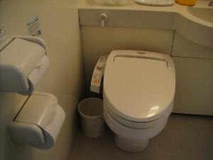 全部屋自動洗浄機付き