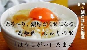 朝食《たまごかけごはんセット?300》<BR>『放し飼い地鶏のたまご』をかけたシンプルな卵かけごはん