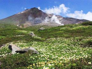【旭岳・夏】夏ならでは旭岳の雄大な景色が楽しめます