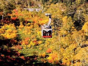 【旭岳ロープウェイ◆秋】絶景の紅葉を楽しめます