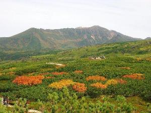 旭岳紅葉