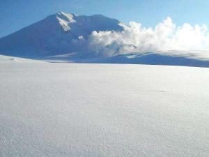 【旭岳のクリスタルスノー】最高の雪質クリスタルスノーを是非ご体感下さい。