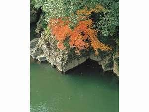 ロビーからは、杖立川と原生林を一望。自然を眺めながら寛ぎの時を