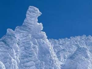 山形蔵王　【樹氷】