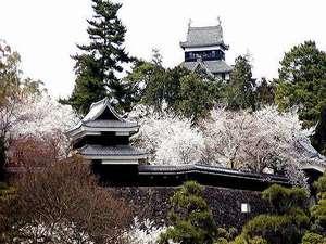 松江城は別名「千鳥城」