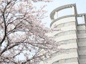 外観 秋