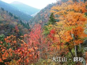 大江山---錦秋