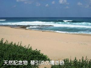鳴き砂の琴引浜