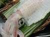 活きいか造り、コリコリした食感で美味しい