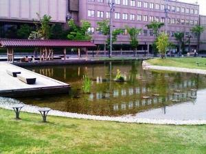 砂走公園より季がさね