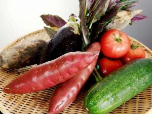 素材イメージ：人気ブランド加賀野菜