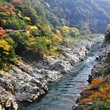 秋の大歩危峡