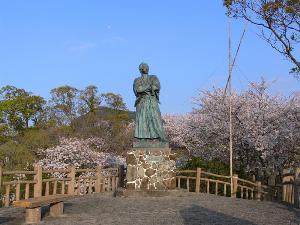 3月の終わりから４月の初め風頭公園の桜が見頃です。龍馬像の周りも桜でいっぱいです。