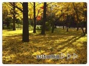 秋の札幌到来！！