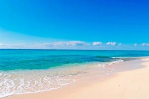 青くそしてエメラルドグリーンの透き通ったきれいな海