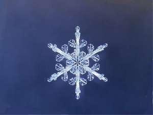 雪の結晶