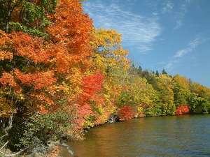 屈斜路湖畔和琴半島からの紅葉
