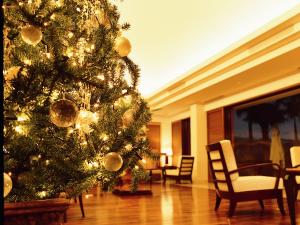 南の島で二人で過ごす大人のクリスマス