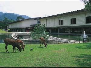 奈良国立博物館（新館）　【写真：奈良市観光協会】