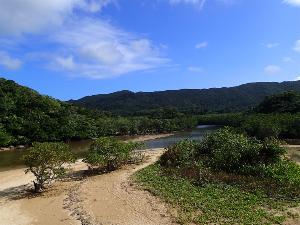 【吹通川】　市街地から離れると風景も一変！石垣島にも山と川に囲まれたこんな場所があるんです！