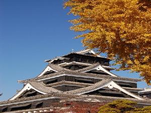 熊本城秋