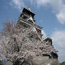 熊本城春