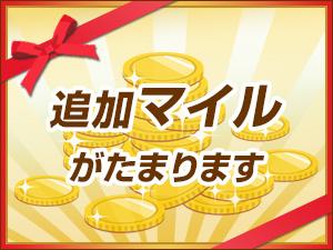 追加マイル