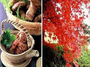 秋は美味しいお料理と温泉三昧できる「雄山閣」へＧＯ！