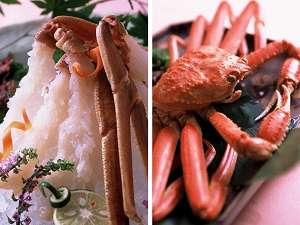 「カニ刺し」「カニ丸ごと一杯」ほかカニ三昧できる