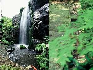 12ｍの大滝が流れ落ちる庭園