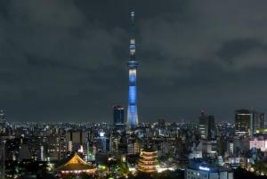 東京スカイツリー(R)粋（眺望イメージ）