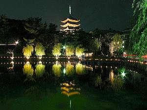 ライトアップされた興福寺五重塔（通年）