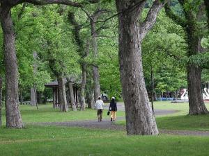 湖畔で森林浴しながら散策を楽しもう