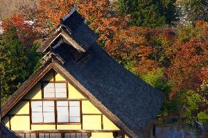 かやぶき民家と紅葉を楽しむ★