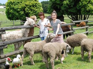 動物たちと触れ合えるマザー牧場
