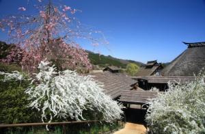 4月の薬師温泉旅籠