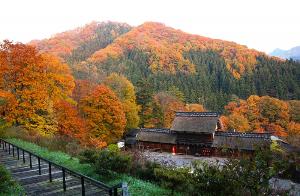 紅葉の見ごろは10月下旬から11月中旬