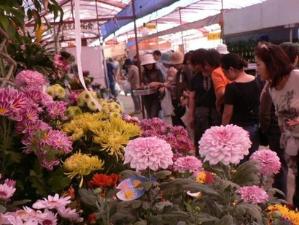 木市（春・秋開催）