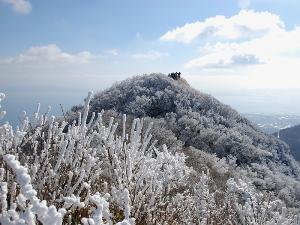 霧氷　イメージ
