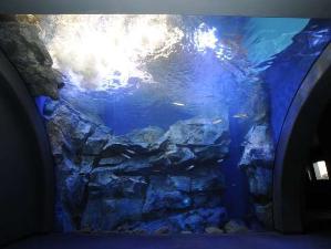 お車で５分程で行ける山の水族館にある水槽(滝つぼ水槽)