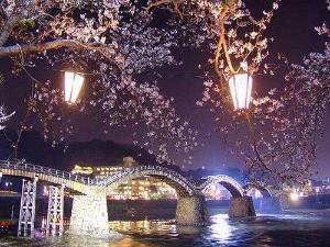 日本のさくら名所100選のひとつ・錦帯橋には徒歩約３分の好立地です！(夜桜の錦帯橋は、絶景です!!)