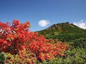 秋の十勝岳