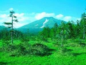 富良野原始が原湿原
